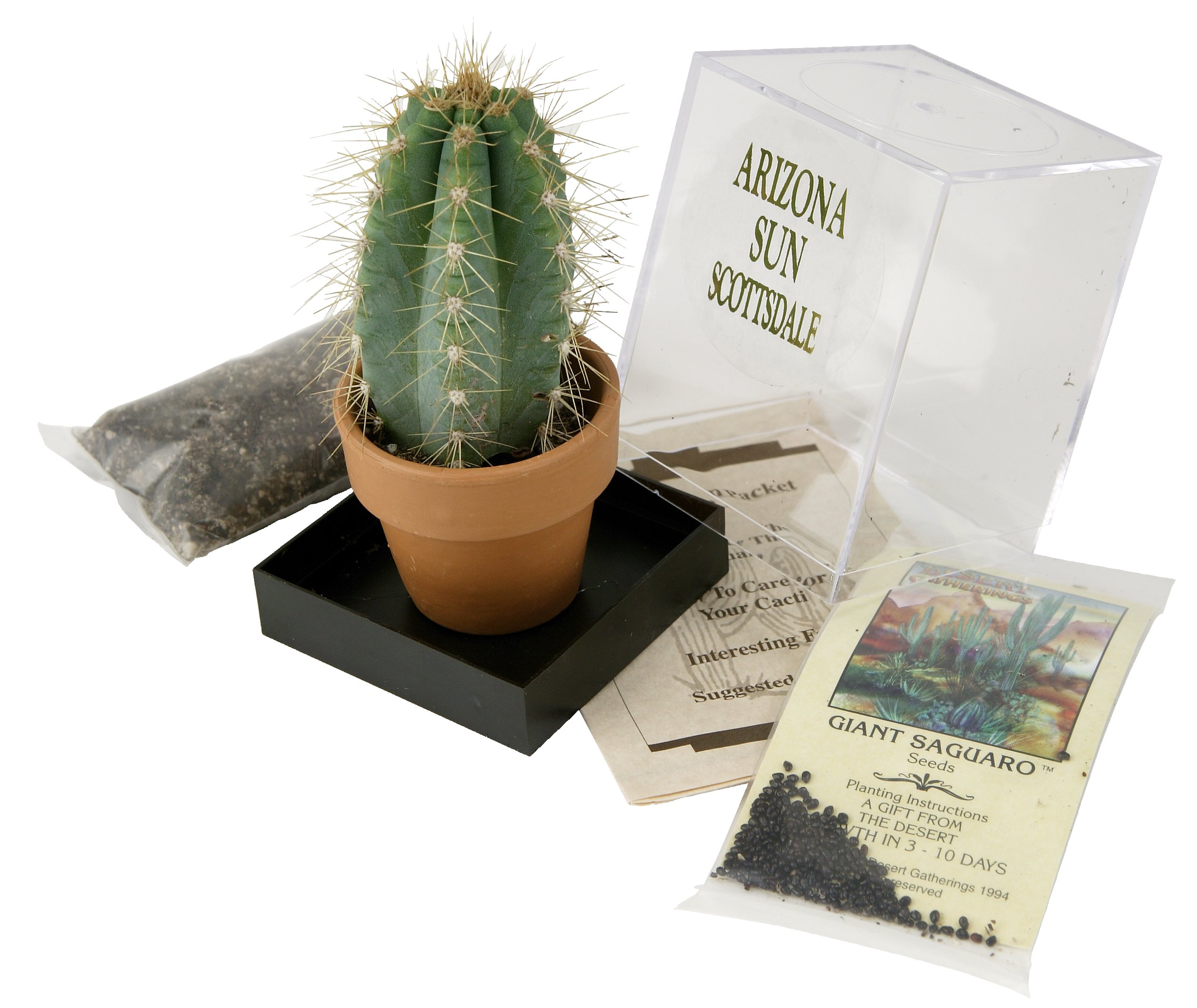 Amazon.com : Grow Your own Saguaro Cactus Kit – Incubator – Cactus